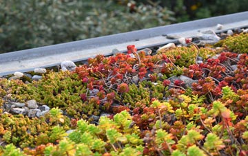 the cost of Charlton Marshall green roof installation