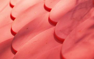 Charlton Marshall plastic roof costs